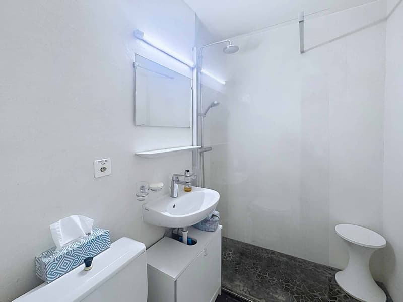 Appartement de 1 pièce - 33.5 m2 avec grand balcon et garage box (9)