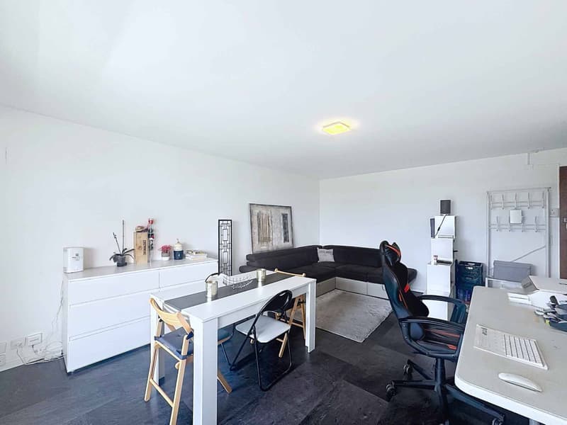 Appartement de 1 pièce - 33.5 m2 avec grand balcon et garage box (4)