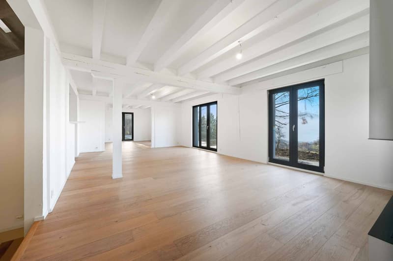 Très belle Villa individuelle totalement rénovée de 6.5 p - Quartier résidentiel (5)
