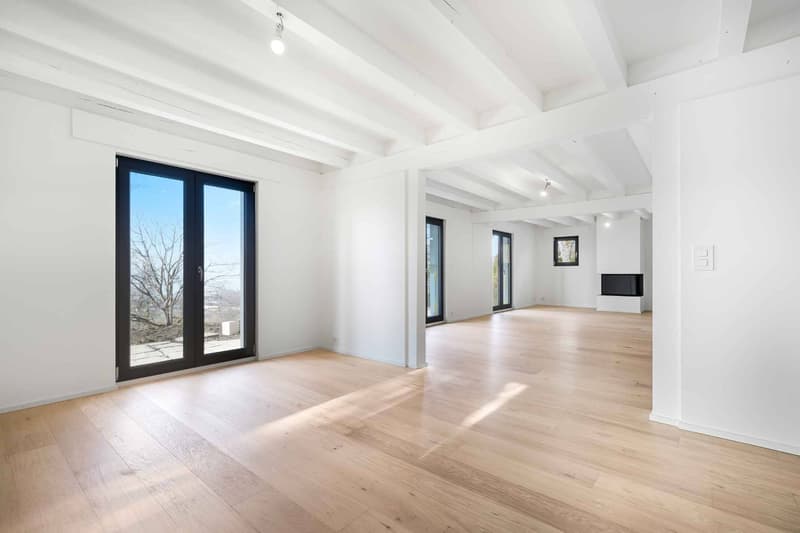 Très belle Villa individuelle totalement rénovée de 6.5 p - Quartier résidentiel (4)