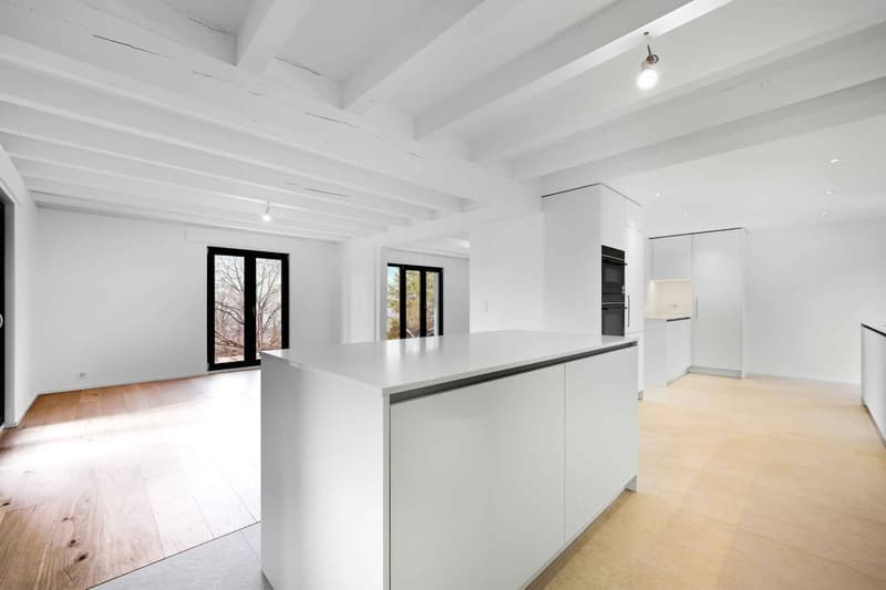 Très belle Villa individuelle totalement rénovée de 6.5 p - Quartier résidentiel (6)