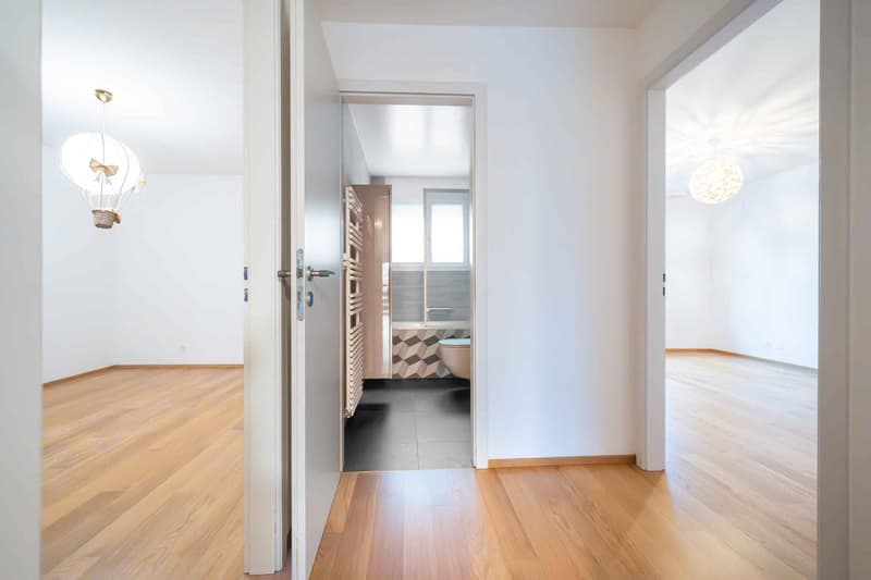 Superbe 5.5 pièces 133 m2 magnifiquement rénové avec grand balcon (10)