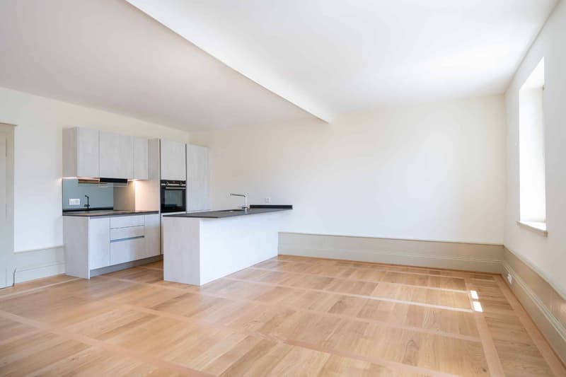 Dernier étage - Spacieux 3.5 pces 99 m2 + combles dans un immeuble ancien rénové (2)