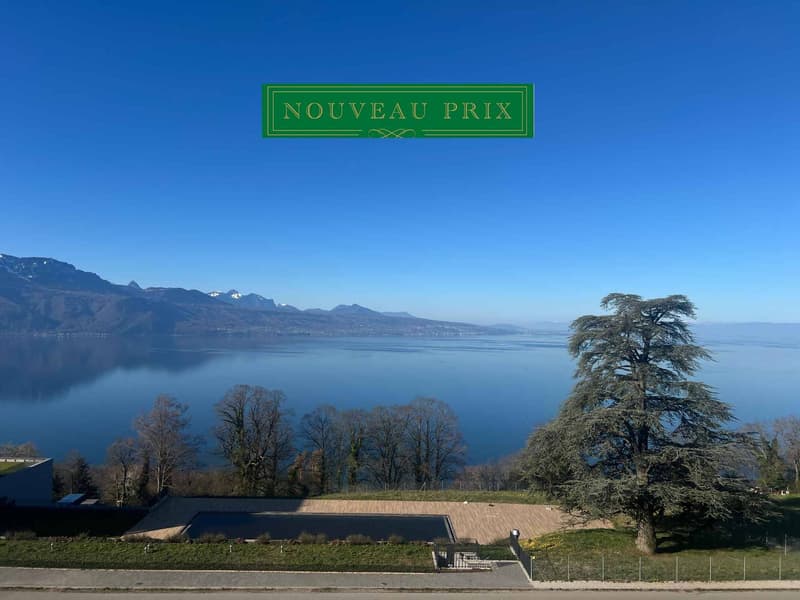 RARE ! 2.5 p avec grand balcon - Dernier étage - Vue plongeante sur le Lac (1)