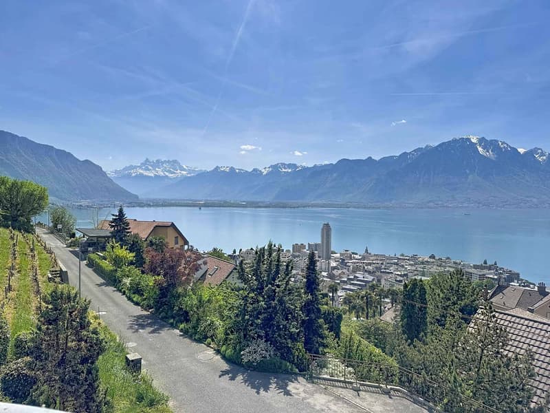 2 pièces de 66 m2 avec balcons + grande pièce annexe (2)