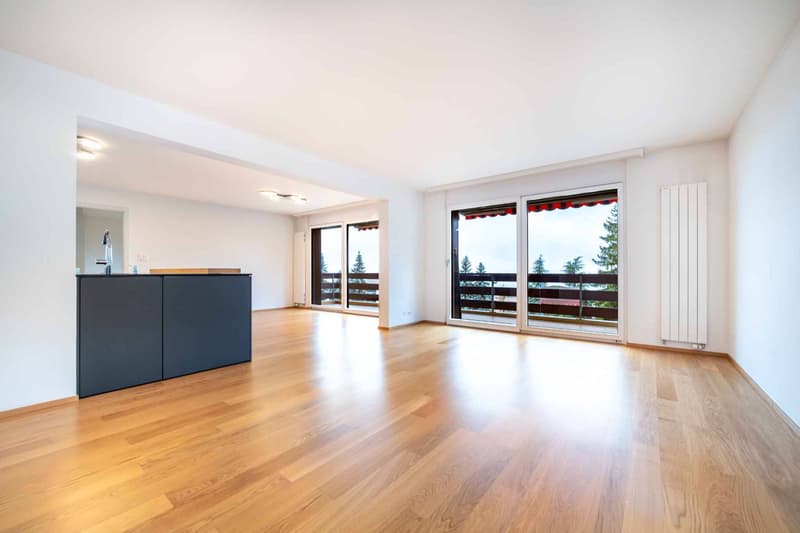 Superbe 5.5 pièces 133 m2 magnifiquement rénové avec grand balcon (1)