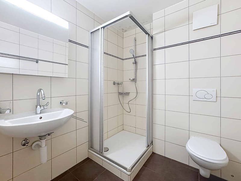 Spacieux 4.5 pièces de 127 m2 avec grande terrasse (11)