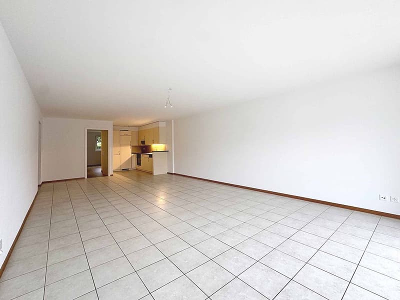 Spacieux 4.5 pièces de 127 m2 avec grande terrasse (4)