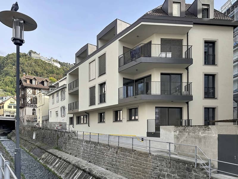TRES GRAND 3.5 PCES NEUF DE 81 m2 (11)