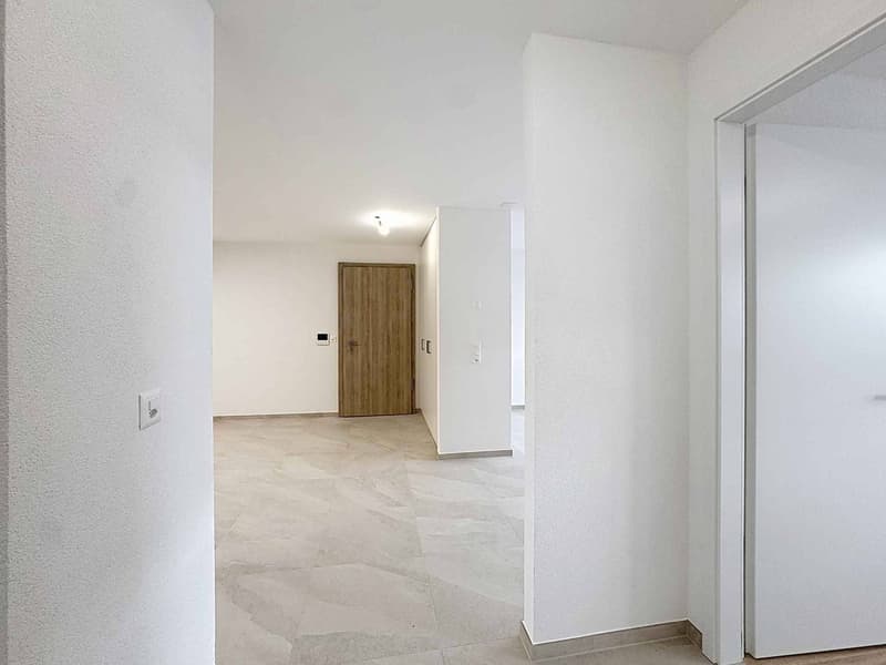 TRES GRAND 3.5 PCES NEUF DE 81 m2 (5)
