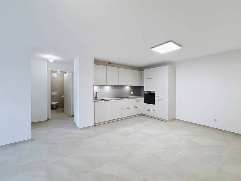 TRES GRAND 3.5 PCES NEUF DE 81 m2 (2)