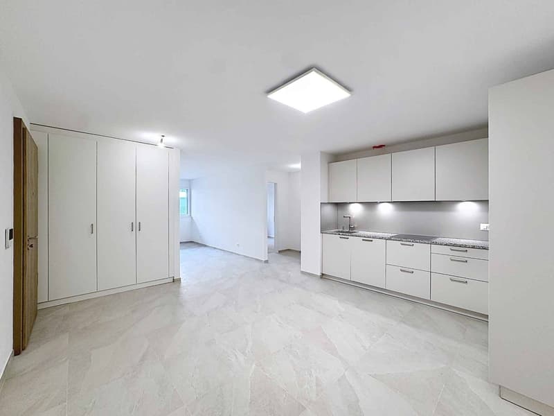 TRES GRAND 3.5 PCES NEUF DE 81 m2 (2)