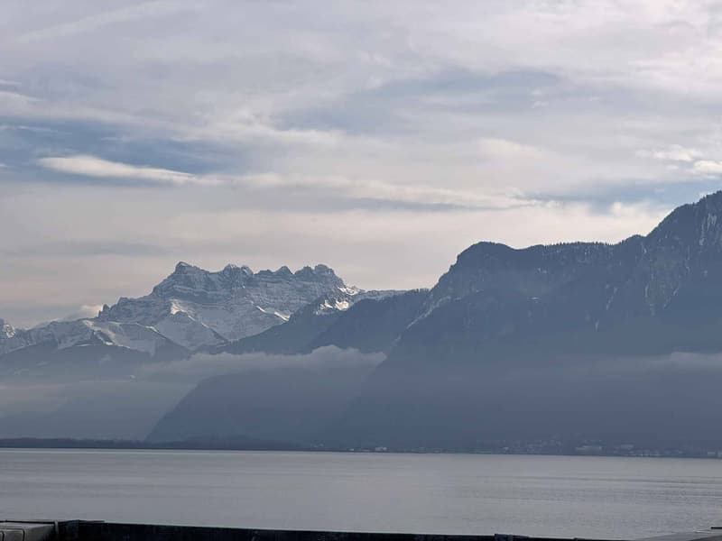 Duplex d'exception au centre de Vevey (2)