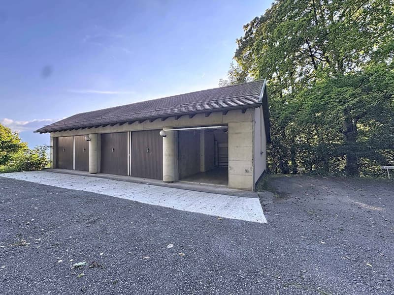 Superbe Appartement de 4,5 Pièces avec Vue Panoramique (11)