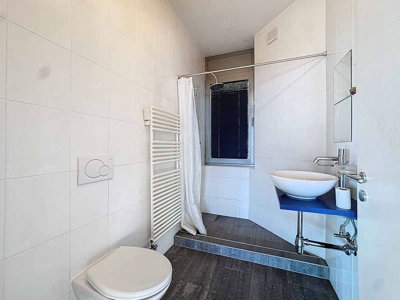 Superbe Appartement de 4,5 Pièces avec Vue Panoramique (8)