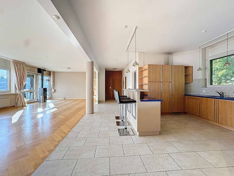 Superbe Appartement de 4,5 Pièces avec Vue Panoramique (3)