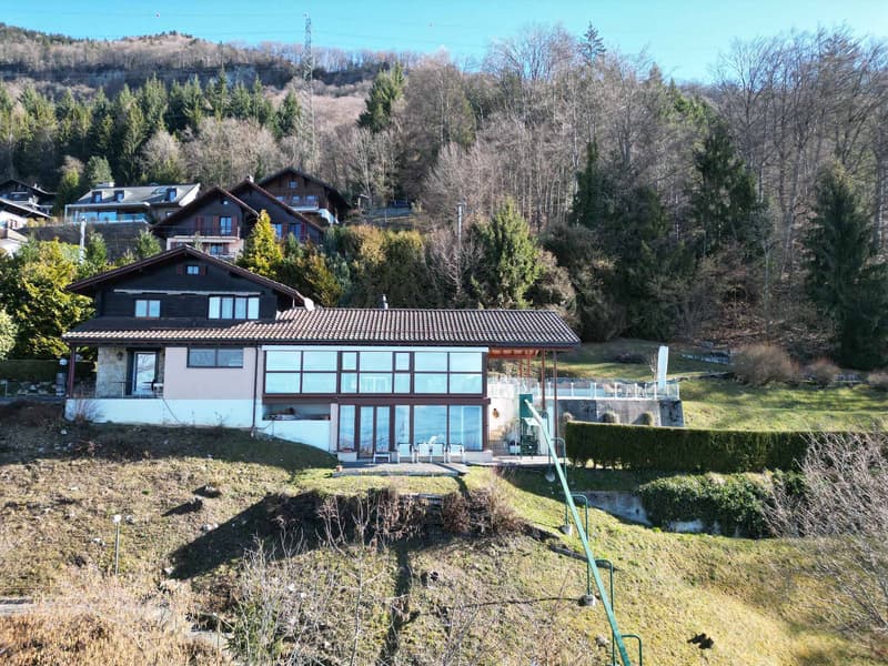 Villa de standing avec panorama grandiose sur le Léman (2)