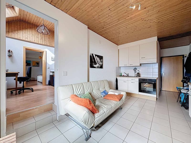 Rural rénové avec 3 appartements (13)