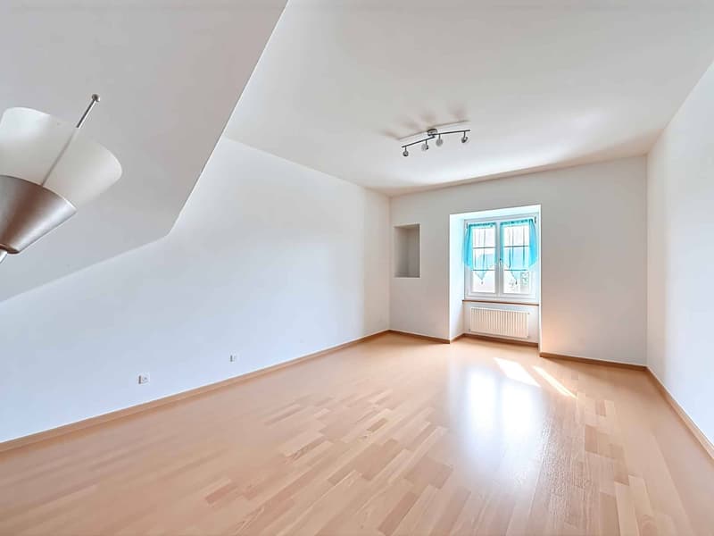 Rural rénové avec 3 appartements (10)