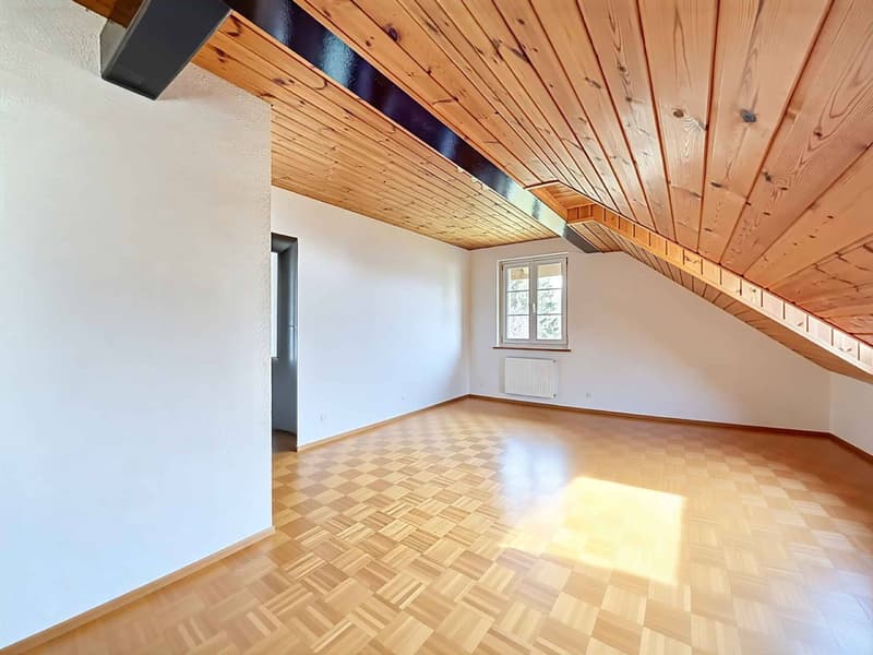 Rural rénové avec 3 appartements (9)