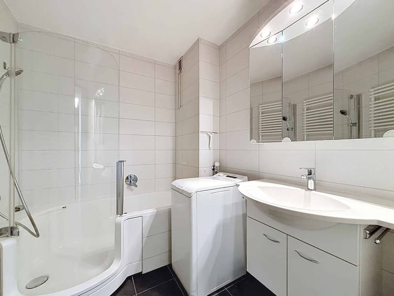 Bel appartement traversant de 4,5 pièces avec terrasse et jardin (8)