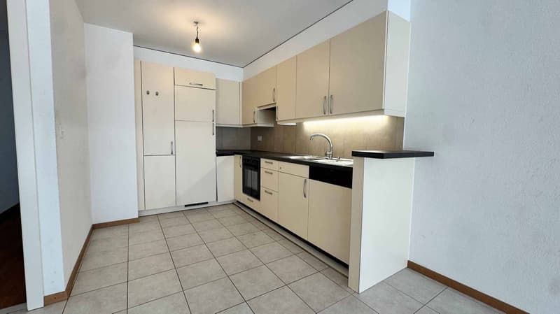 Bel attique de 4,5 pièces avec grande mezzanine (3)
