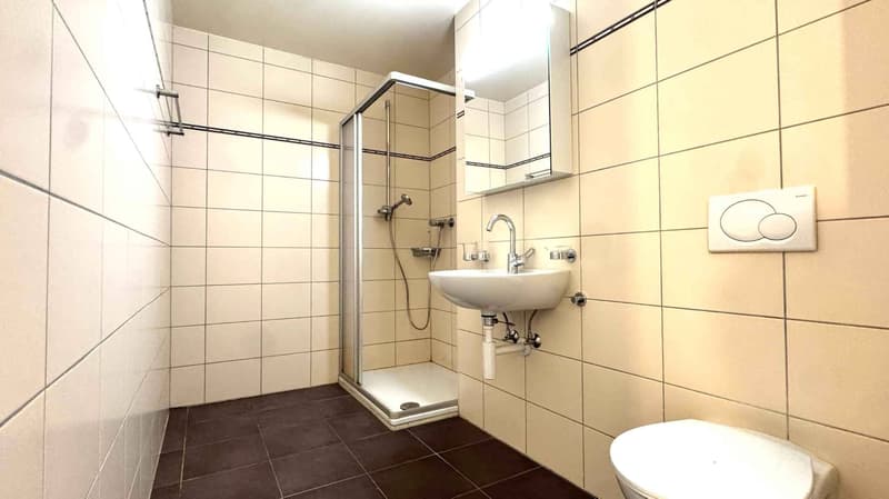 Bel attique de 4,5 pièces avec grande mezzanine (9)