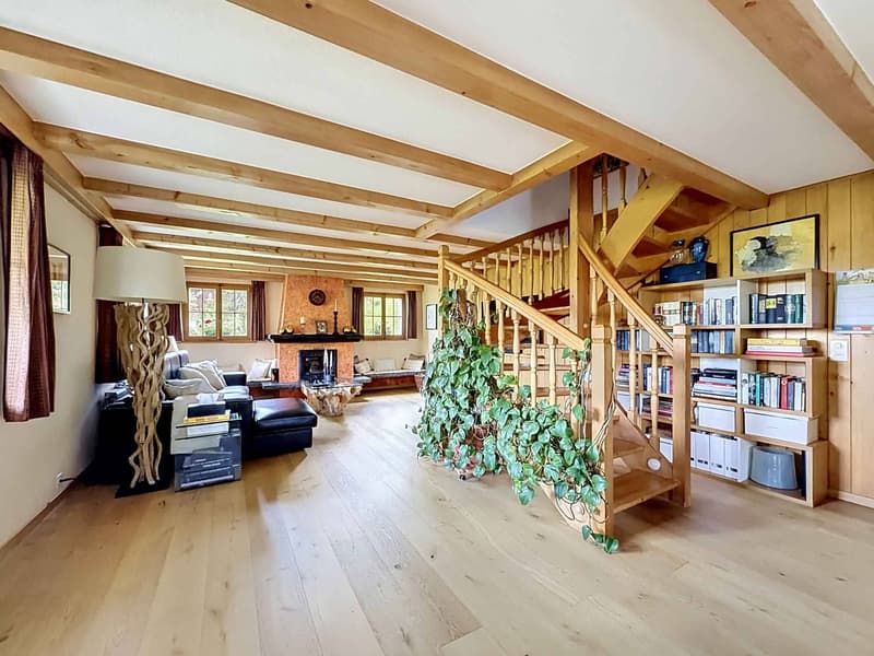 Grand chalet de 3 appartements avec vue panoramique (4)