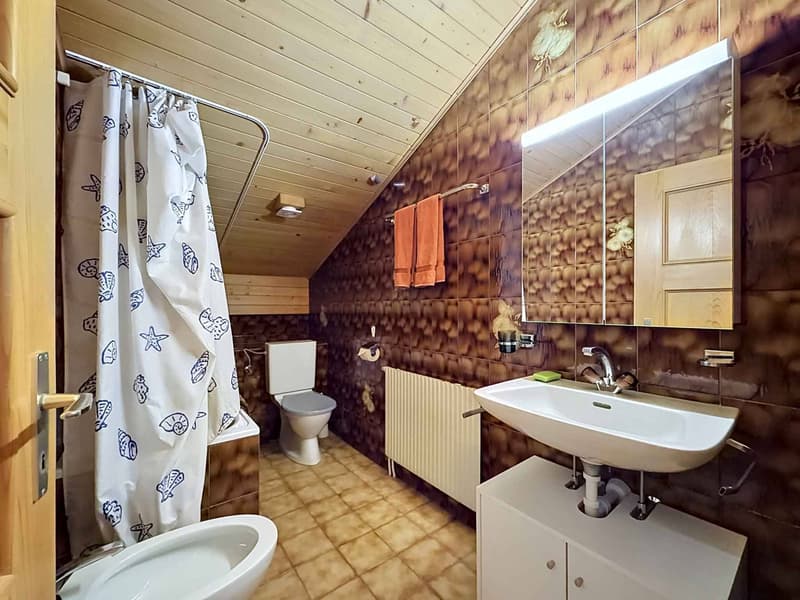 Grand chalet de 3 appartements avec vue panoramique (9)