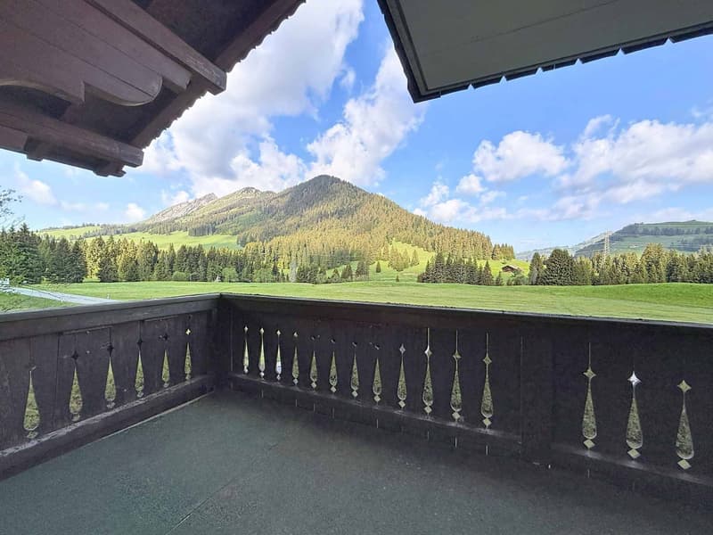 Grand chalet de 3 appartements avec vue panoramique (2)