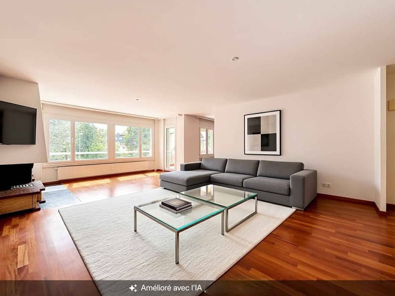 Appartement traversant de 4,5 pièces (3)