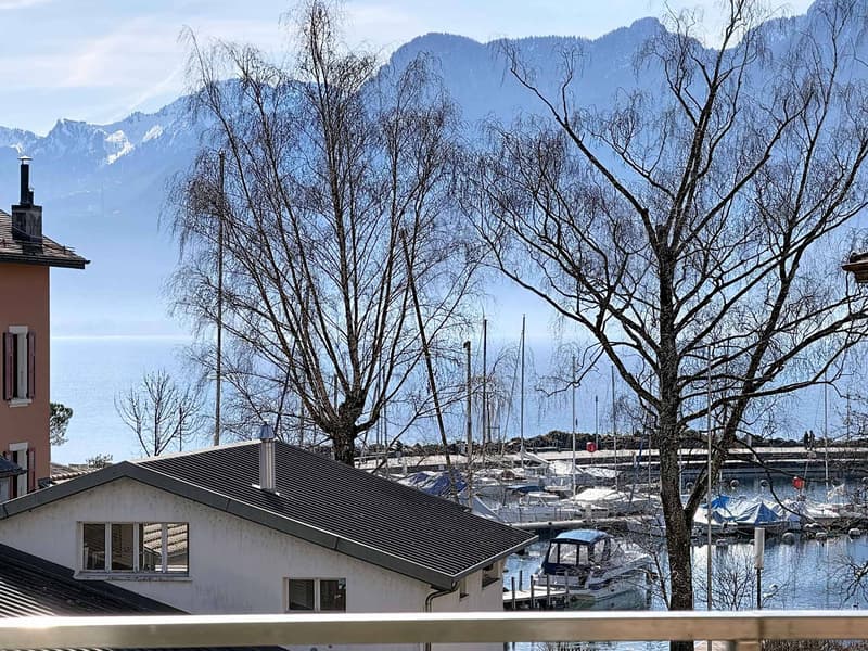 Appartement lumineux proche du Lac (1)