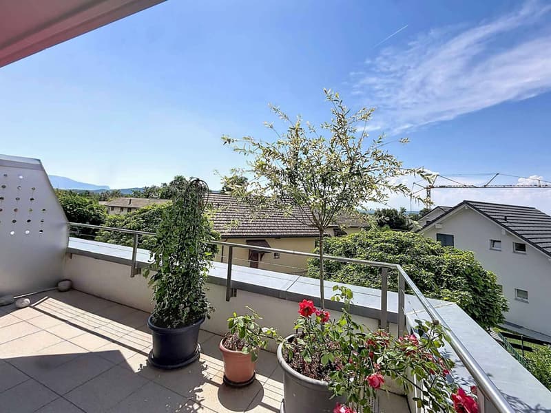 Lumineux 4,5 pièces avec grande terrasse (2)