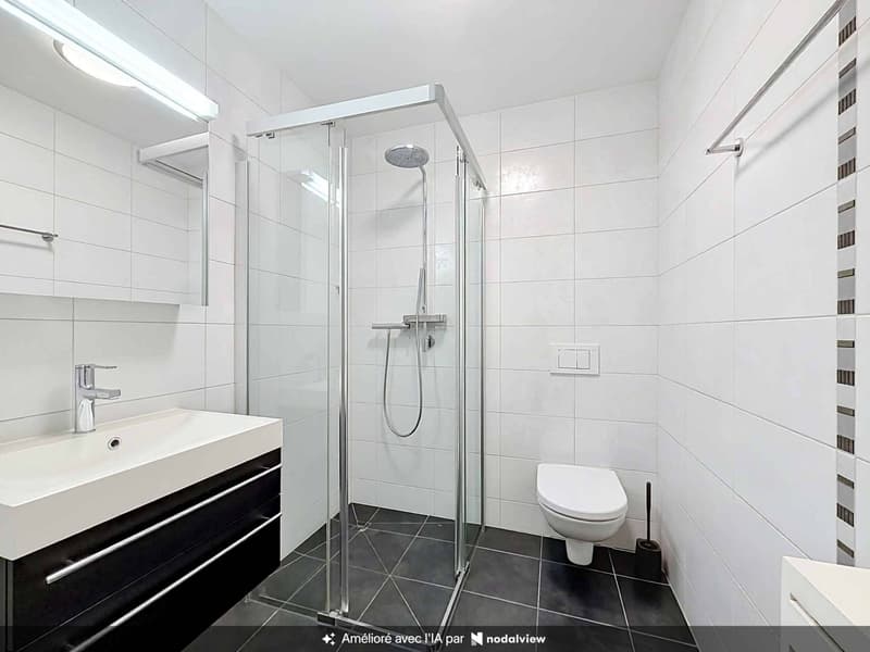 Lumineux 4,5 pièces avec grande terrasse (9)