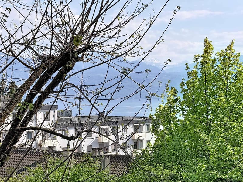 Bel appartement dans un quartier calme de Lausanne (1)