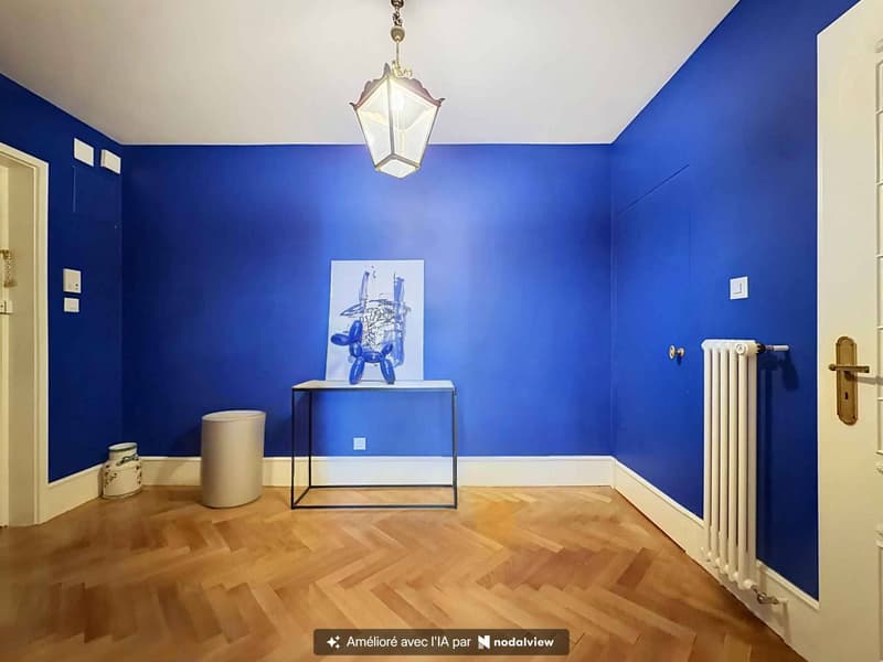 Luxueux appartement au cur de la ville (5)
