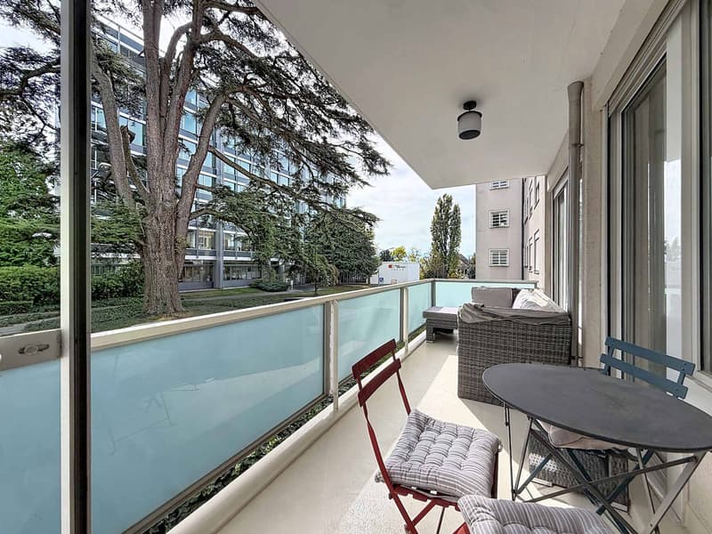 Luxueux appartement au cur de la ville (2)