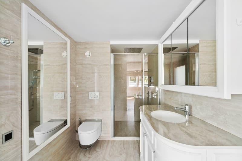 Luxueux triplex (6)