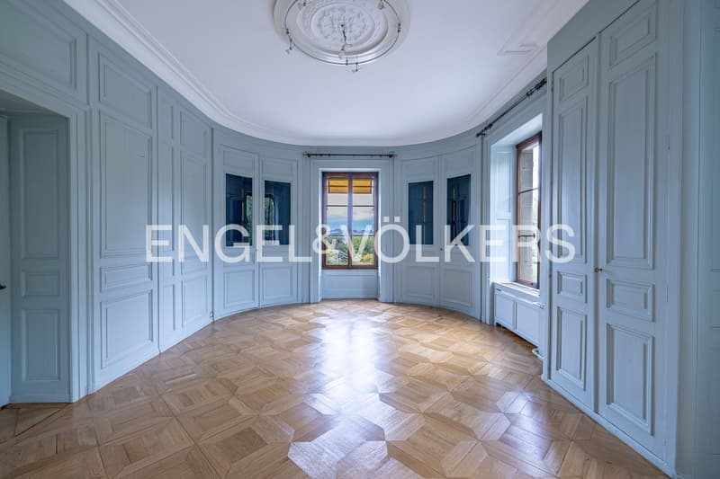 Propriété d'exception - sublime maison de Maître avec vue et accès lac (8)