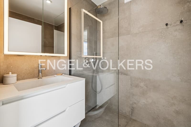 Appartement contemporain de standing au coeur de Vésenaz (2)