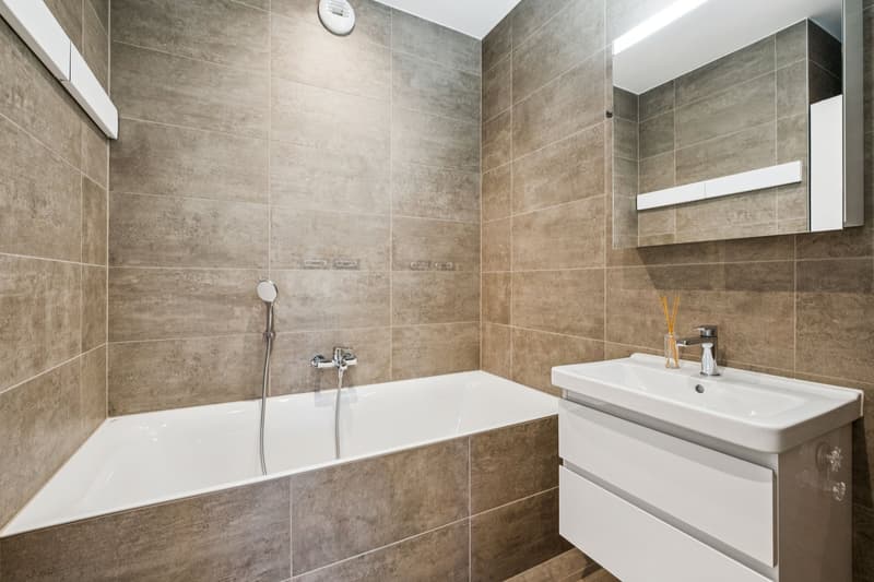 Appartement meublé de standing avec vaste jardin privatif (6)