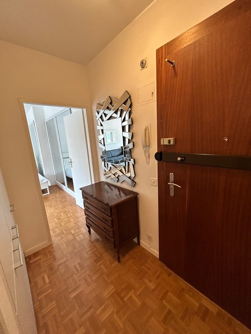 Grand studio (2 pièces) meublé avec loggia et accès à un magnifique pa (6)