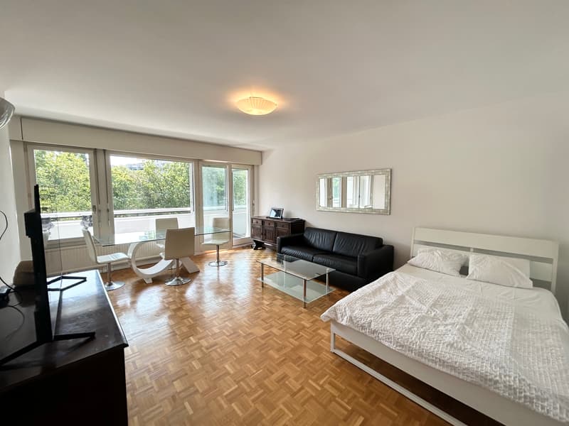 Grand studio (2 pièces) meublé avec loggia et accès à un magnifique pa (2)