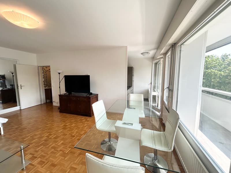 Grand studio (2 pièces) meublé avec loggia et accès à un magnifique pa (3)