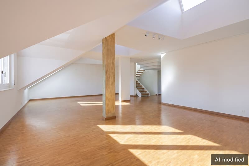 Appartement au dernier étage avec rooftop au Petit-Saconnex (3)