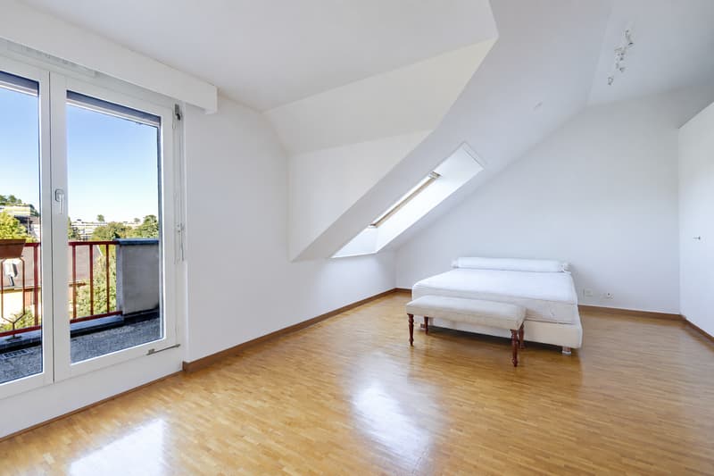 Appartement au dernier étage avec rooftop au Petit-Saconnex (7)