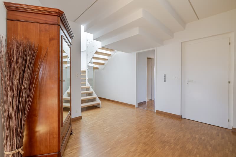 Appartement au dernier étage avec rooftop au Petit-Saconnex (6)