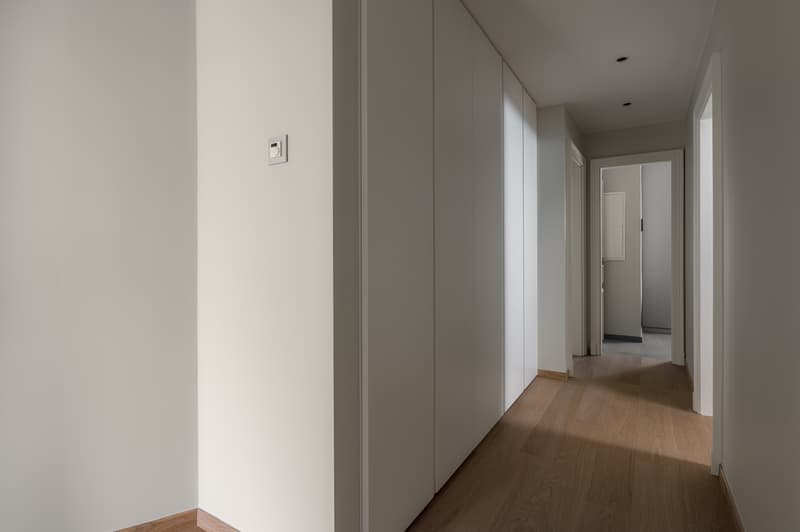 Appartement d'exception sur les Quais avec vue panoramique sur le lac (4)