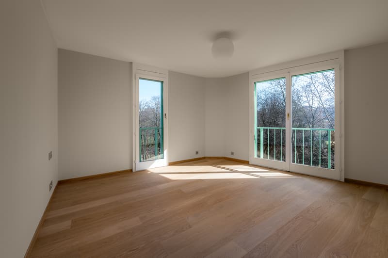 Appartement d'exception sur les Quais avec vue panoramique sur le lac (8)