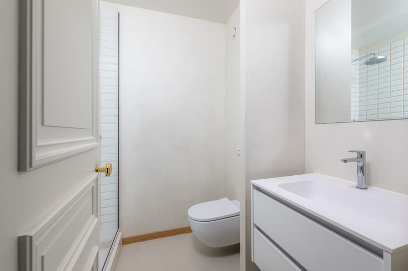 Appartement d'exception sur les Quais avec vue panoramique sur le lac (6)